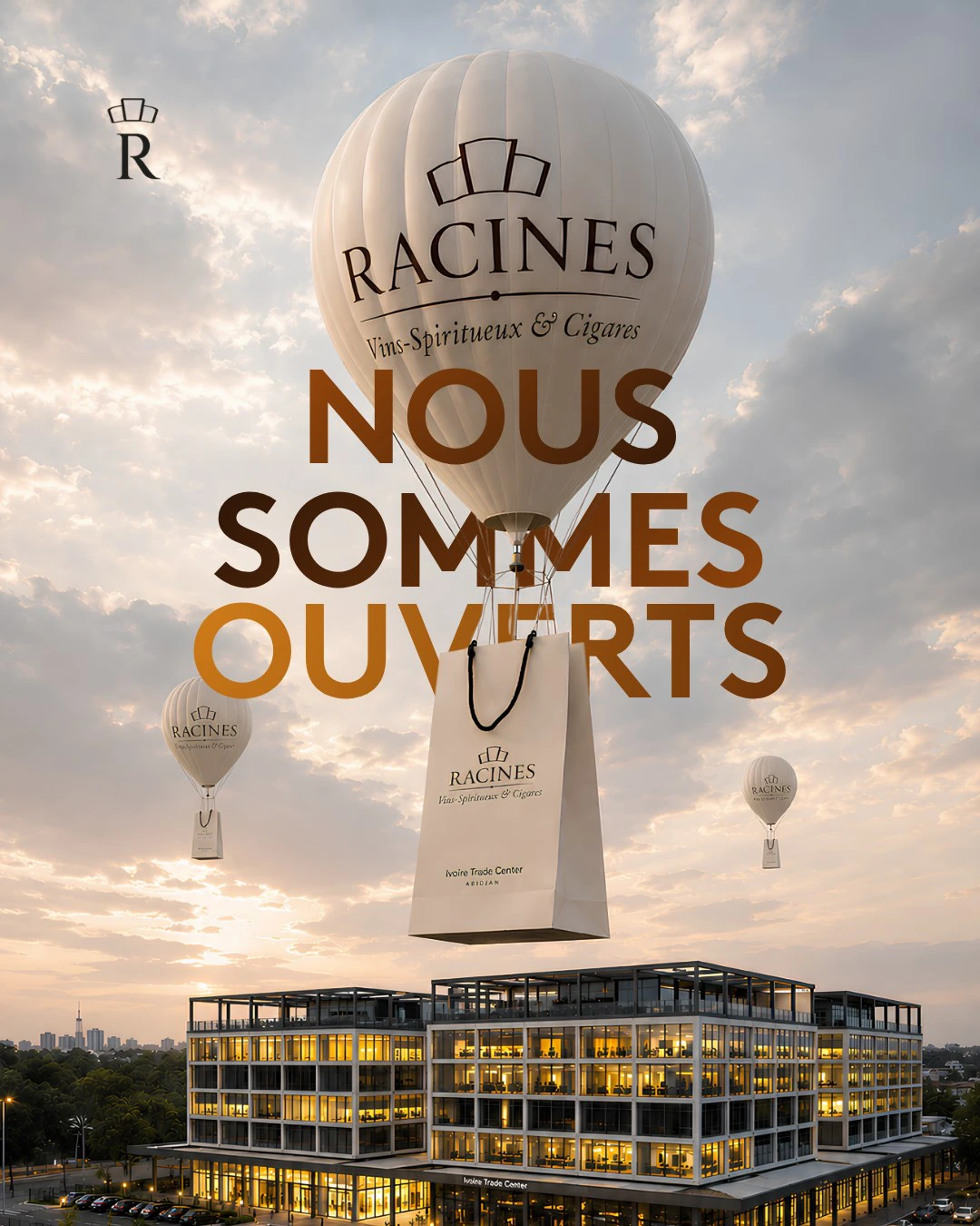 Racines — remplacer l'image